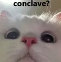 conclave