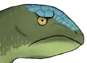 TI_DryoDisap