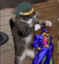 catjotaro