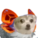 Sonnorsmallconcern
