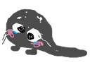 sealion