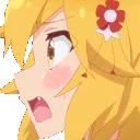 SenkoSecc