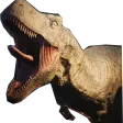 Rex