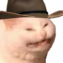 D2S_C_howdymons