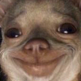 cd_smugrat Discord emoji