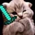 KittyFight
