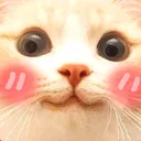 catblush Discord Emoji