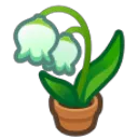 xLilyofTheValley