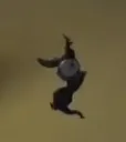 peeperdance