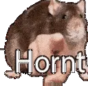 HORNTw HORNTw