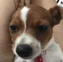 kiki kiki