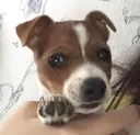 kiki