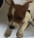 kiki kiki