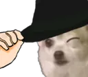 chiwaFedoraWink