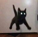 CatJump
