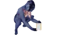 poptartsleeper