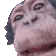 MONKE
