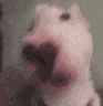 REN_WalterCrazy Discord emoji