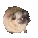 VibinPug