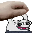 PETTHEAXU