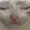 pensivecat