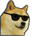 doge_cool