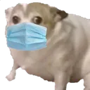coronaconcern