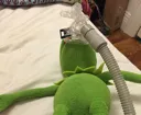 inhaleexhals