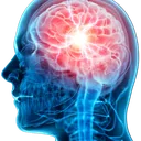 200IQ