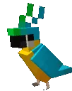 birbdance