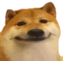 Doggo