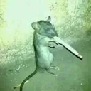 ratsmokey ratsmokey