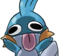 mudkip_derp