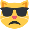 Catsunglasses Discord Emoji