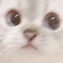 ono