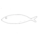 fish_with_a_name