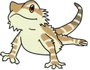 beardie