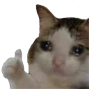 sad_cat_approve Discord Emoji