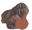 MatthewThink