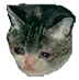sadcat Discord Emoji