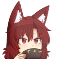 KagerSip