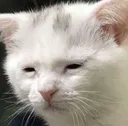 TiredAf