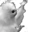 eggybehold eggybehold