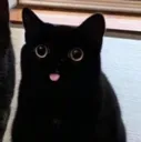 blep