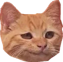 SmugNeko Discord Emoji