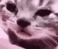 cri