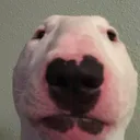 TDT_Yashstare TDT_Yashstare