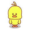 dancing_duck