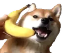 DogBananaPhone