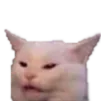 catfused catfused
